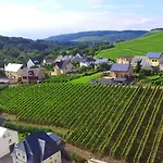 Wein- Und Gaestehaus Genetsch Lieser