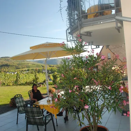 Wein- Und Gaestehaus Genetsch 3* Lieser