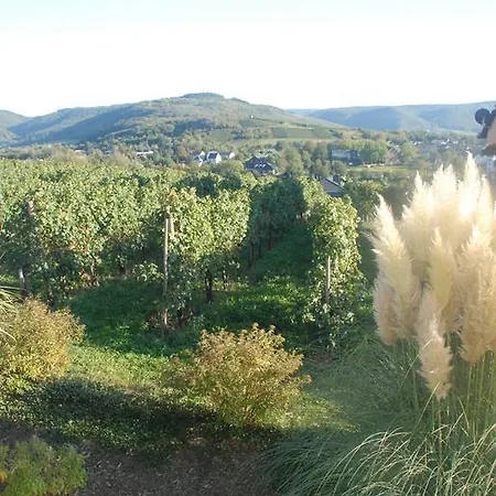 ゲストハウス Wein- Und Gaestehaus Genetsch