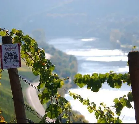 Pensión Wein- Und Gaestehaus Genetsch 3*