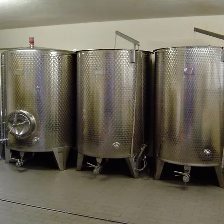 Gasthuis Wein- Und Gaestehaus Genetsch
