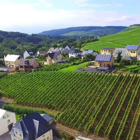 Wein- Und Gaestehaus Genetsch Lieser