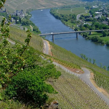 Casa de hóspedes Wein- Und Gaestehaus Genetsch