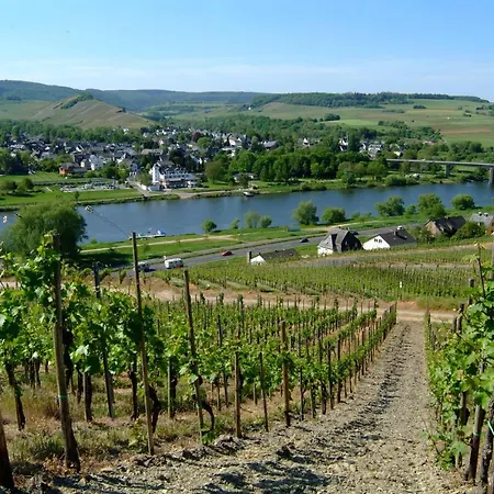 Guest house Wein- Und Gaestehaus Genetsch