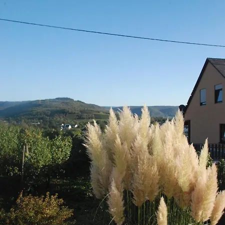 ゲストハウス Wein- Und Gaestehaus Genetsch リーザー