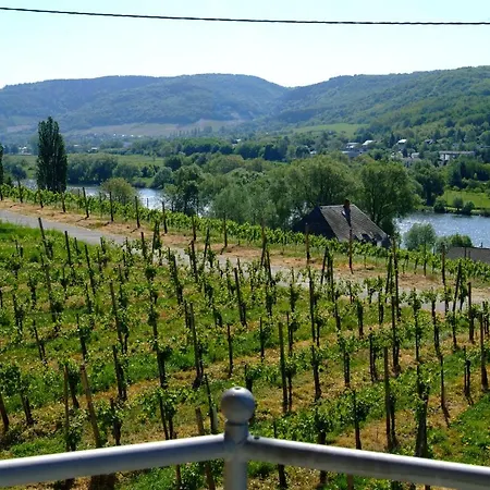 ゲストハウス Wein- Und Gaestehaus Genetsch 3*