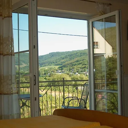 ゲストハウス Wein- Und Gaestehaus Genetsch 3*