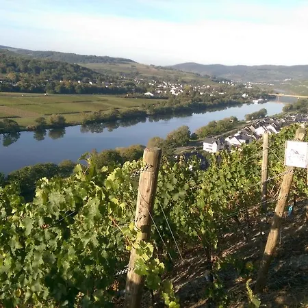 Wein- Und Gaestehaus Genetsch Pensión
