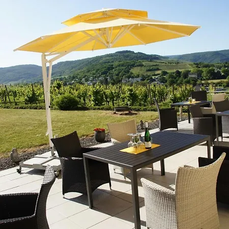 Wein- Und Gaestehaus Genetsch 3* Lieser