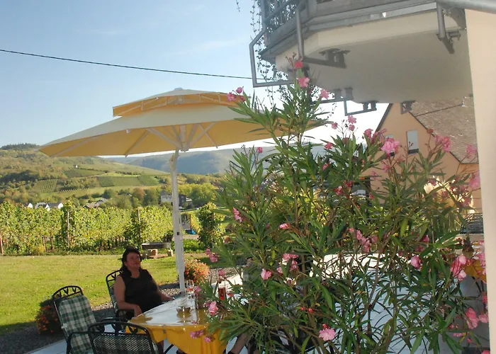 Wein- Und Gaestehaus Genetsch 3* Lieser