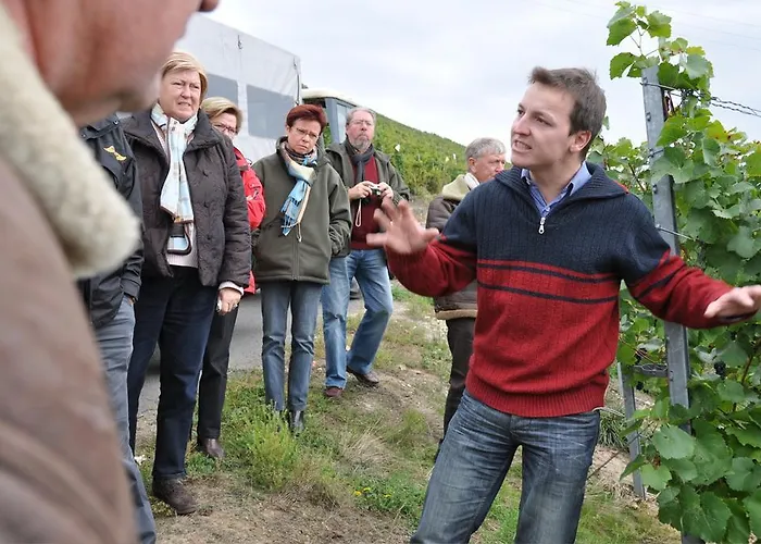 招待所 Wein- Und Gaestehaus Genetsch 3*