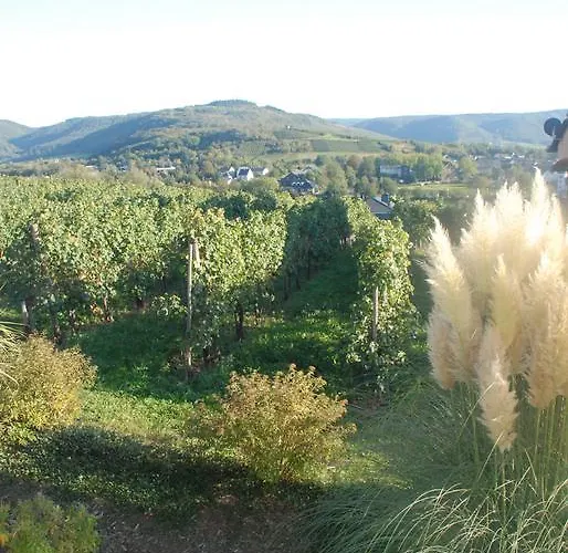 Pensión Wein- Und Gaestehaus Genetsch