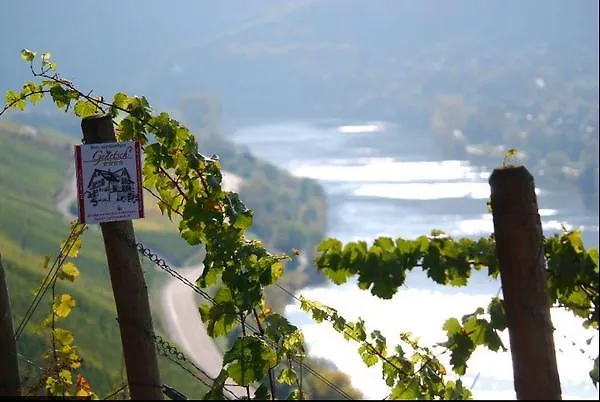 招待所 Wein- Und Gaestehaus Genetsch 3*