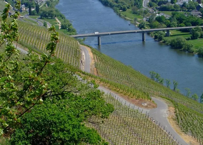 ゲストハウス Wein- Und Gaestehaus Genetsch