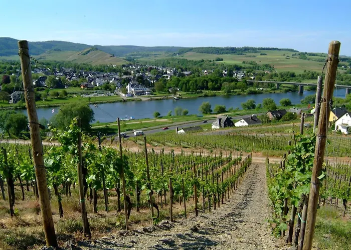 招待所 Wein- Und Gaestehaus Genetsch