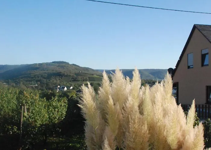Pensión Wein- Und Gaestehaus Genetsch Lieser
