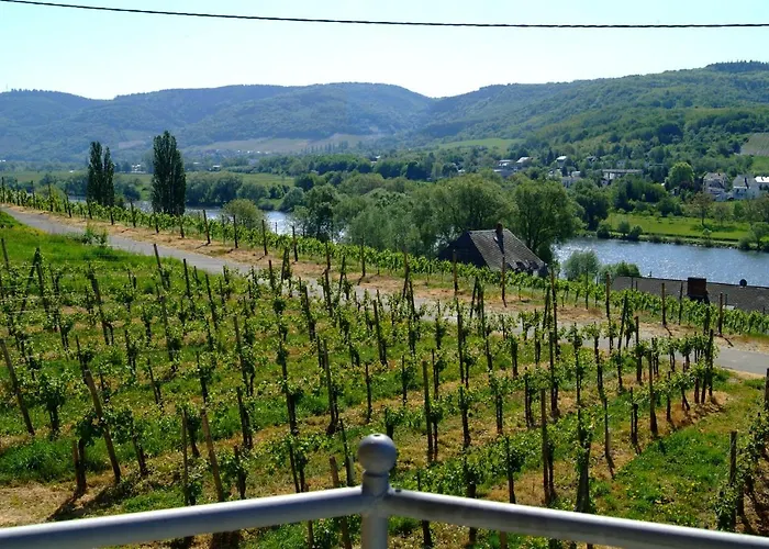 招待所 Wein- Und Gaestehaus Genetsch 3*