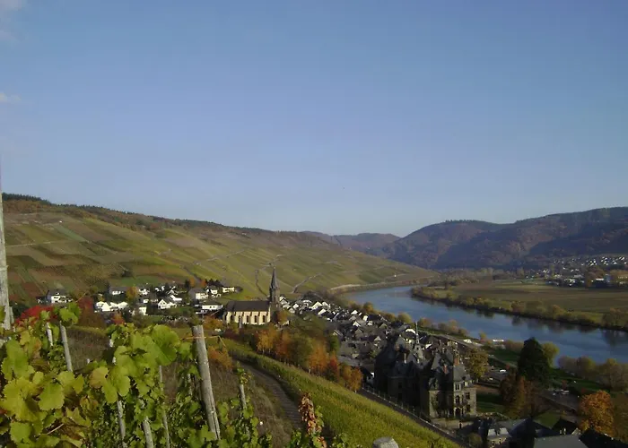 Pensión Wein- Und Gaestehaus Genetsch 3*