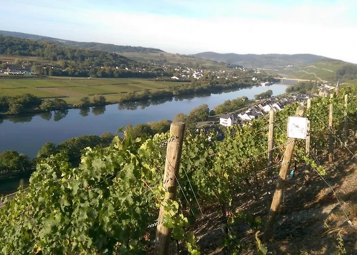 Wein- Und Gaestehaus Genetsch Pensión
